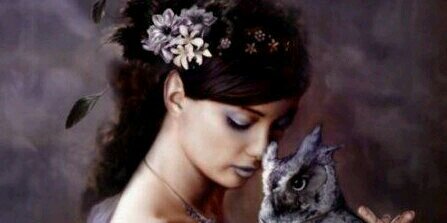 SetSonyie's profile banner image