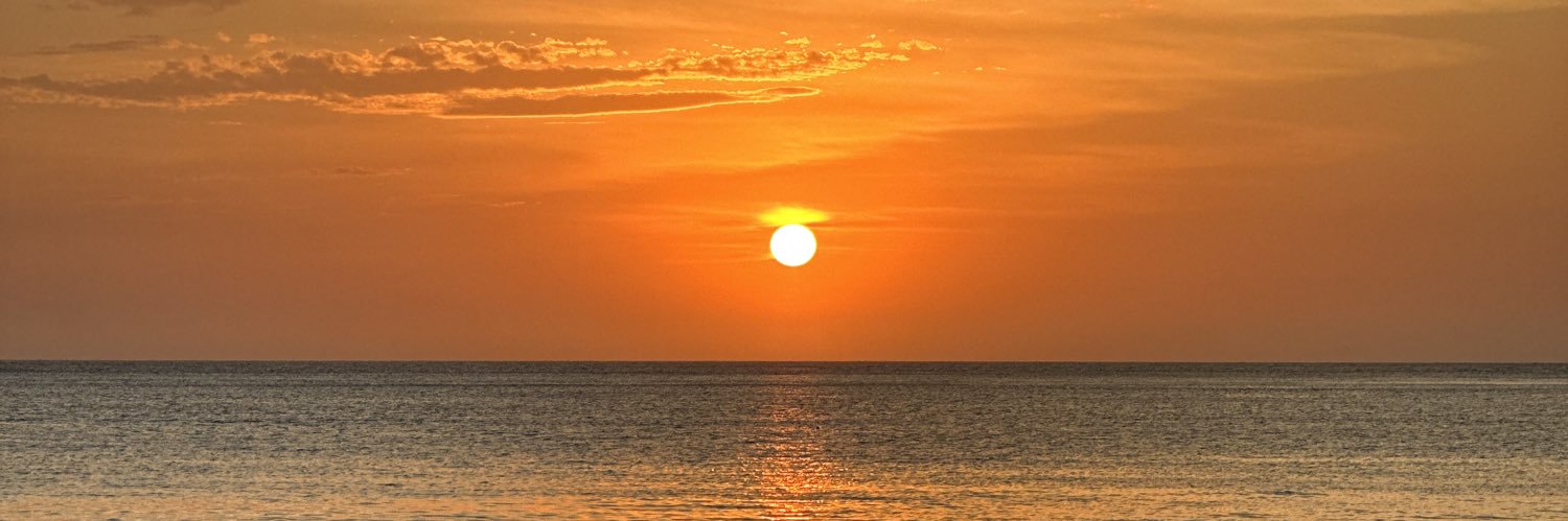 Grey Lorena 🤍 banner