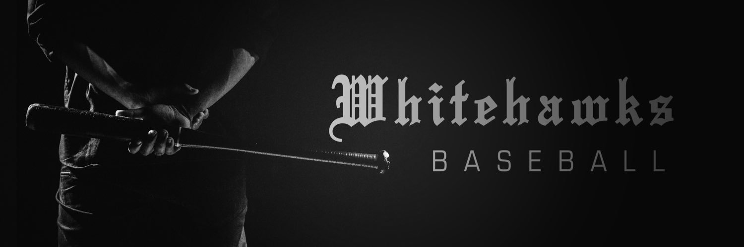 Dyersville Whitehawks banner