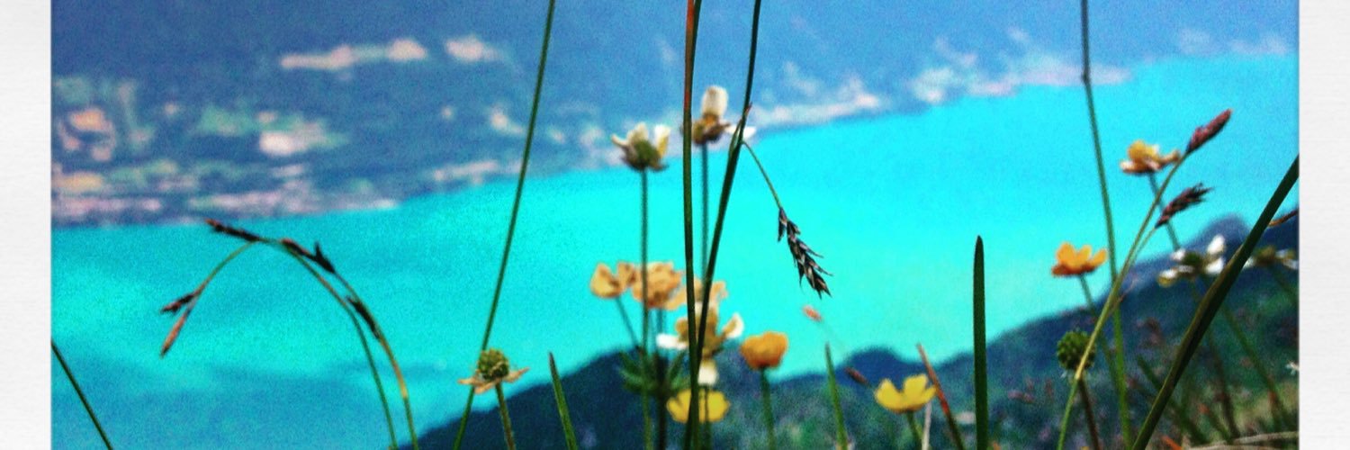 dmt6903's profile banner image