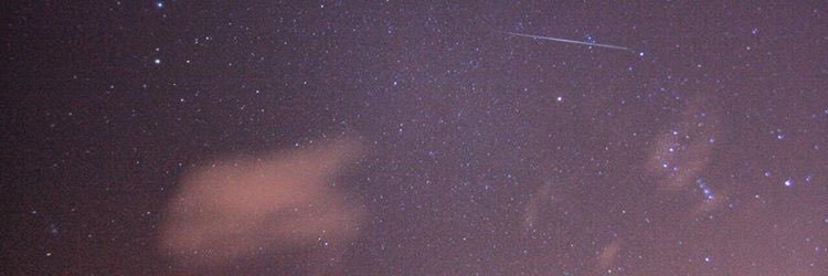veronicacteran's profile banner image
