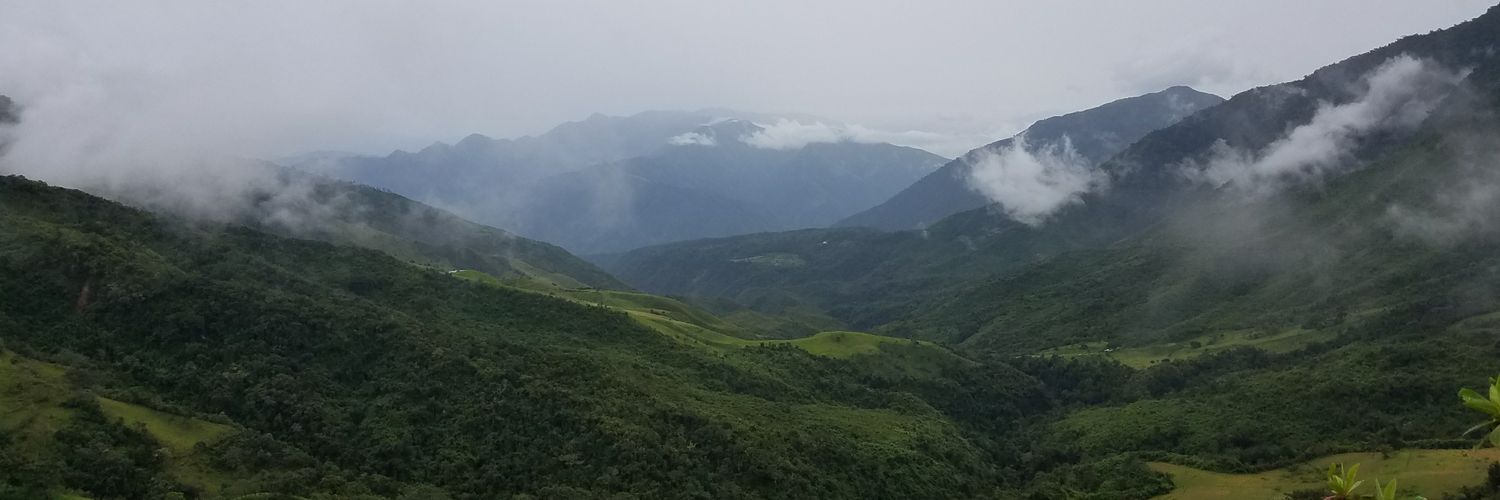 ProfRoznos's profile banner image