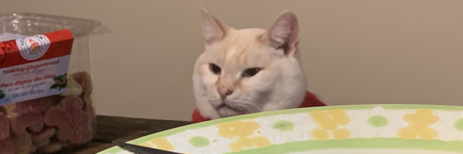 SamAttemptsLife's profile banner image