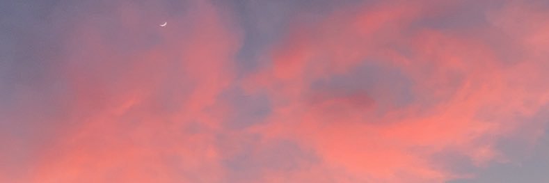CSeydlitz's profile banner image