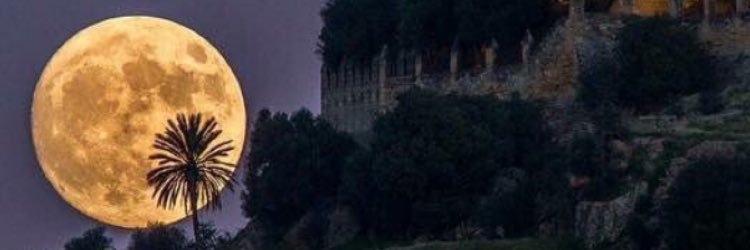 Hamad_14's profile banner image
