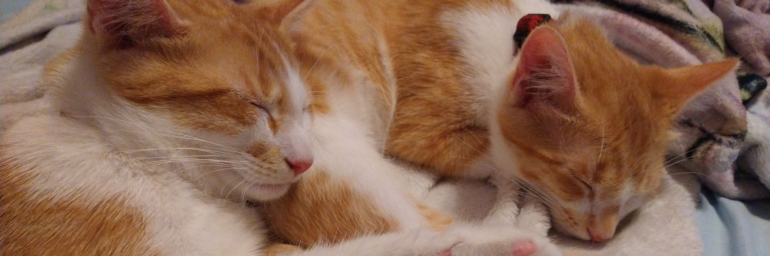 Me Myself and I banner