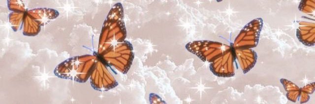 MaddyGallo's profile banner image