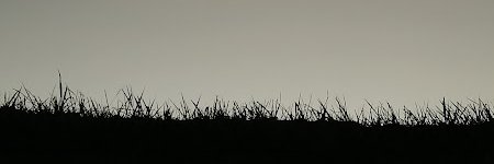 mesta___'s profile banner image