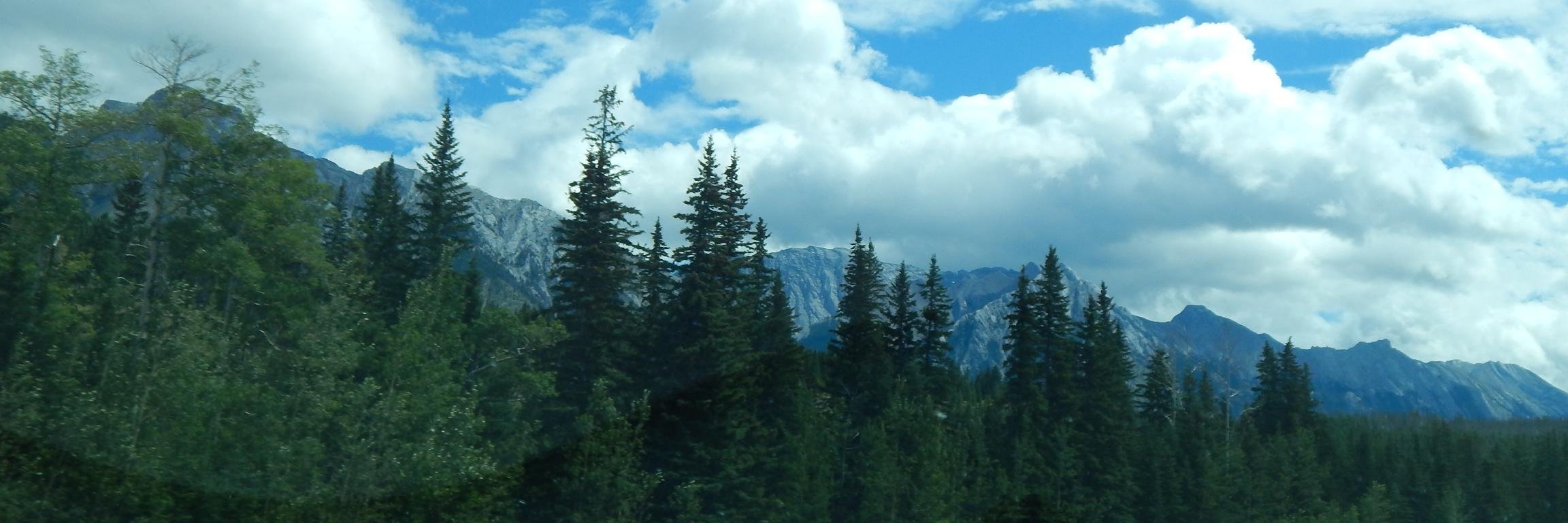 jo_nauman's profile banner image