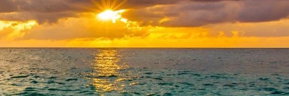 Neni_pacheco's profile banner image