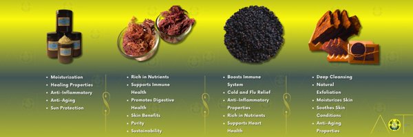 SalusModa Profile Banner
