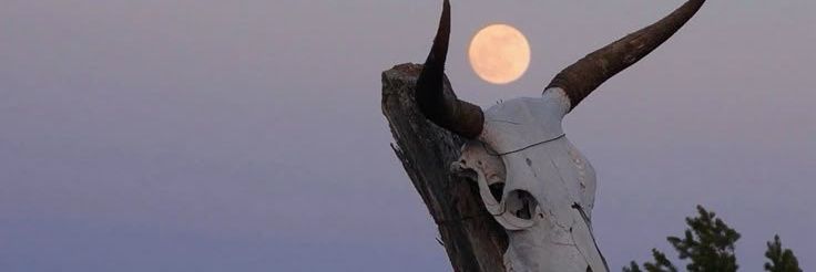 LuckandGrit's profile banner image