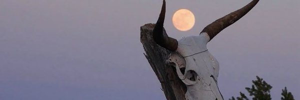 LuckandGrit Profile Banner