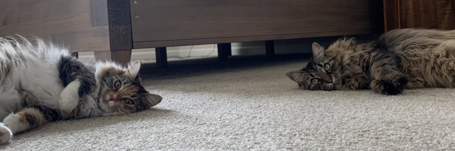 kkersey2's profile banner image