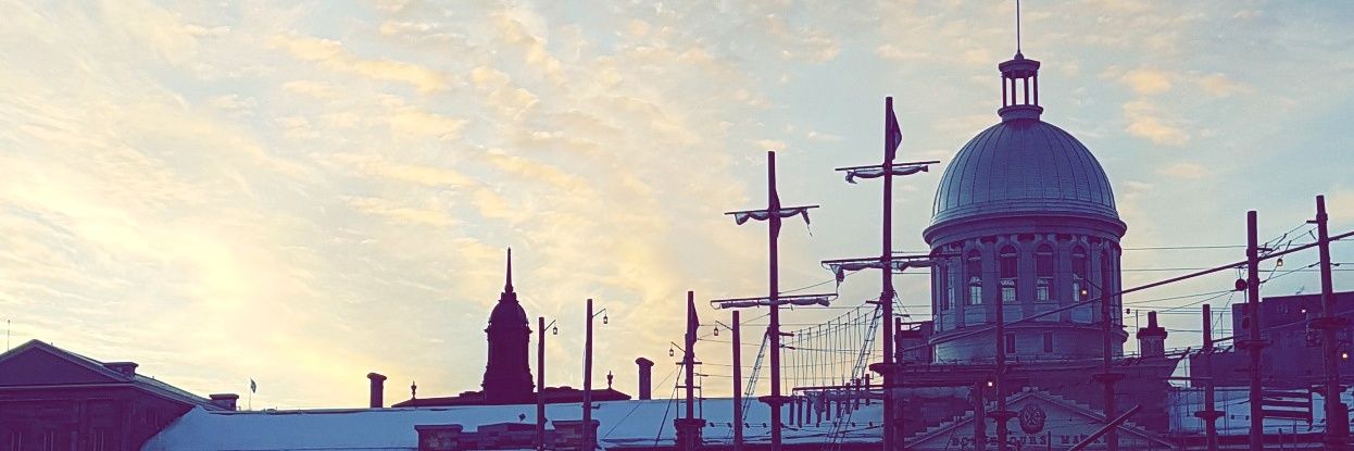 Eng.Maha Bashir banner