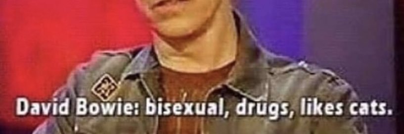 micayla b 🍋 banner