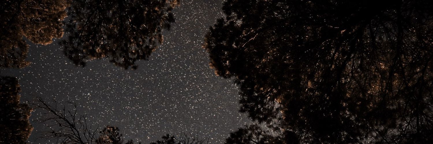 LeKidFlorida's profile banner image