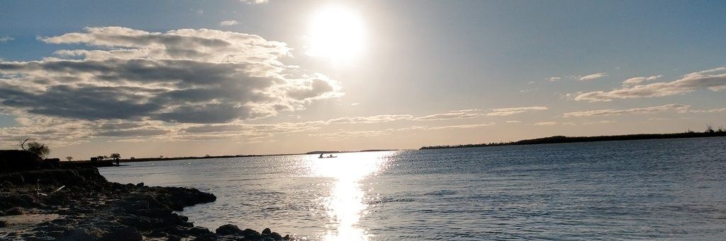 MasiCardoso's profile banner image