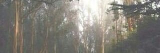 a_mu3ddi's profile banner image