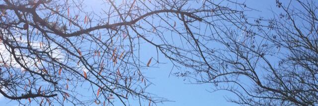 nashoverall's profile banner image