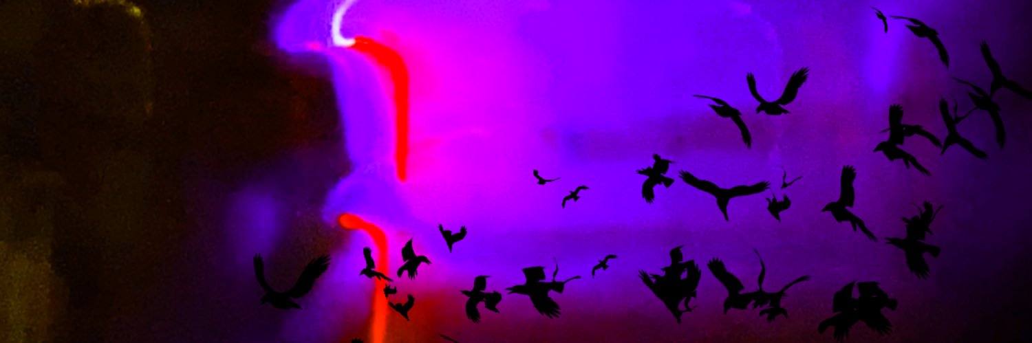 lovezra_'s profile banner image
