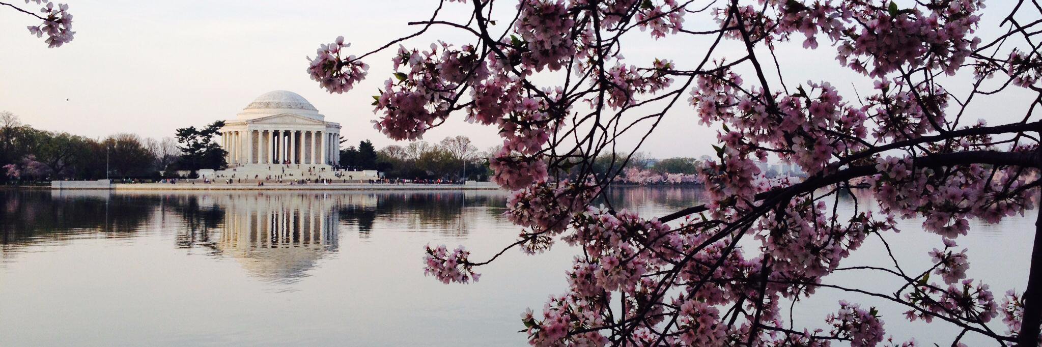 Adam Jay Doolittle banner