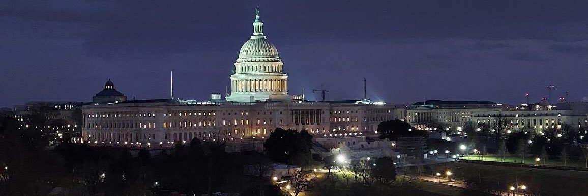 Michelle Marsh banner