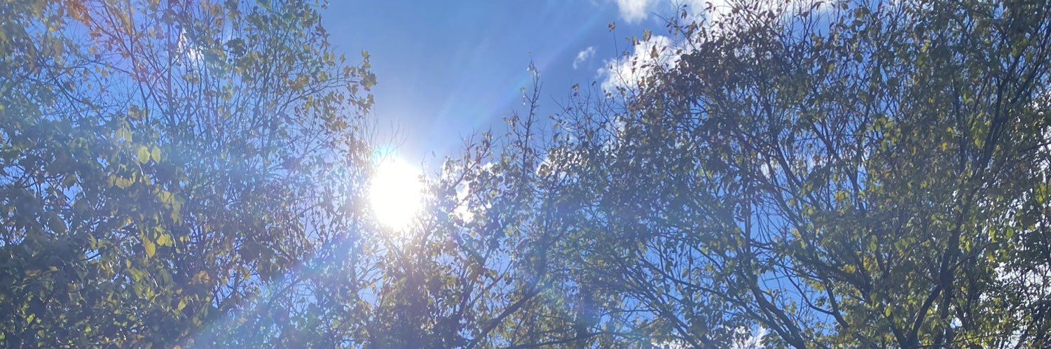 emilybleyer's profile banner image