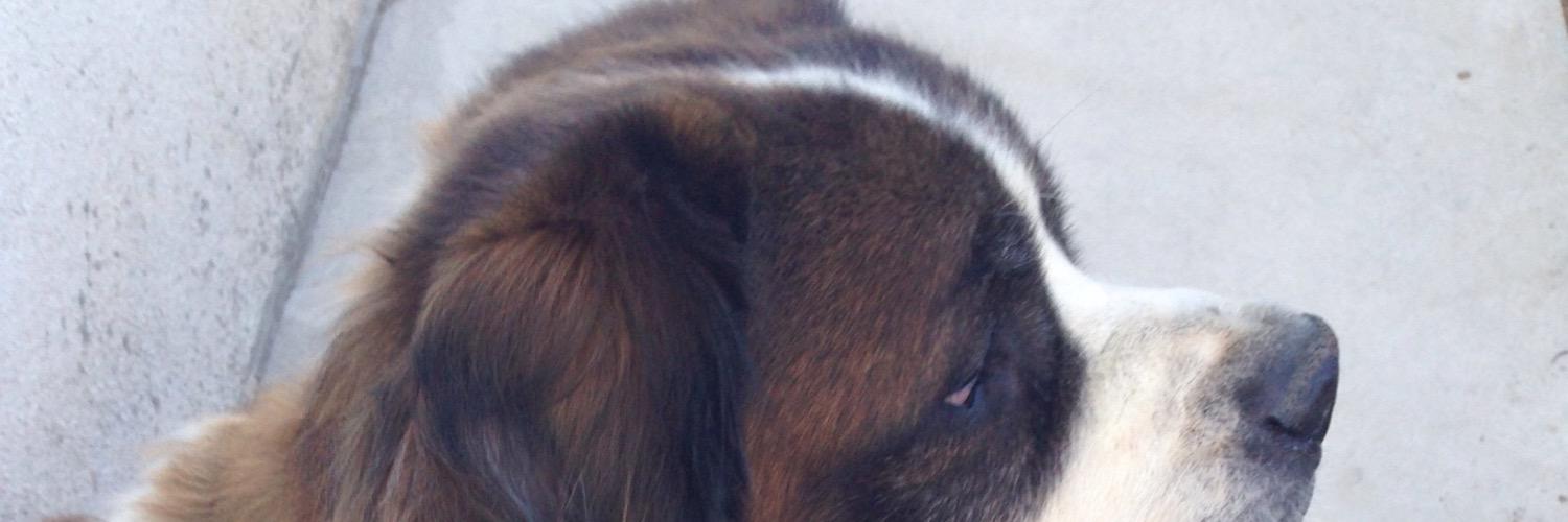 mxnixa's profile banner image