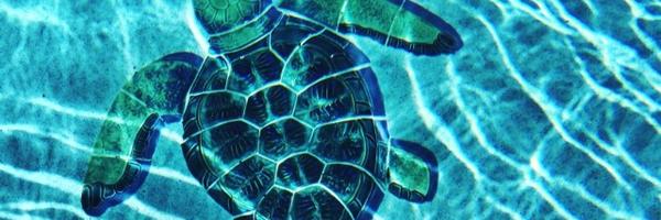 julaaay7 Profile Banner