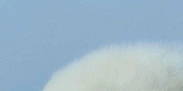 Fuma__Rose's profile banner image