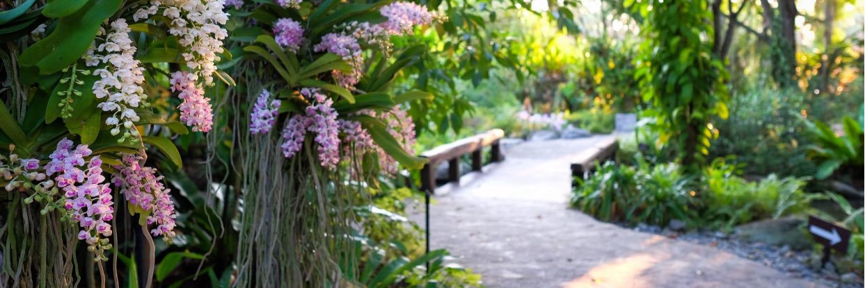 aa_pen's profile banner image