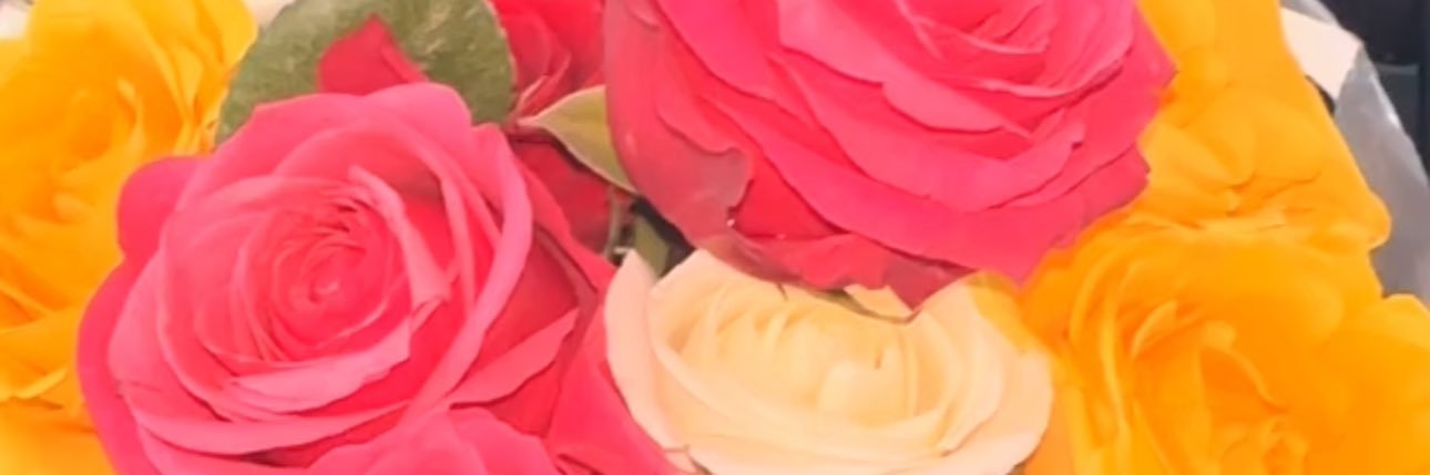 HawtChickKe's profile banner image