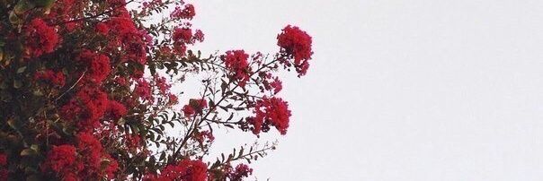 _paulaa022's profile banner image
