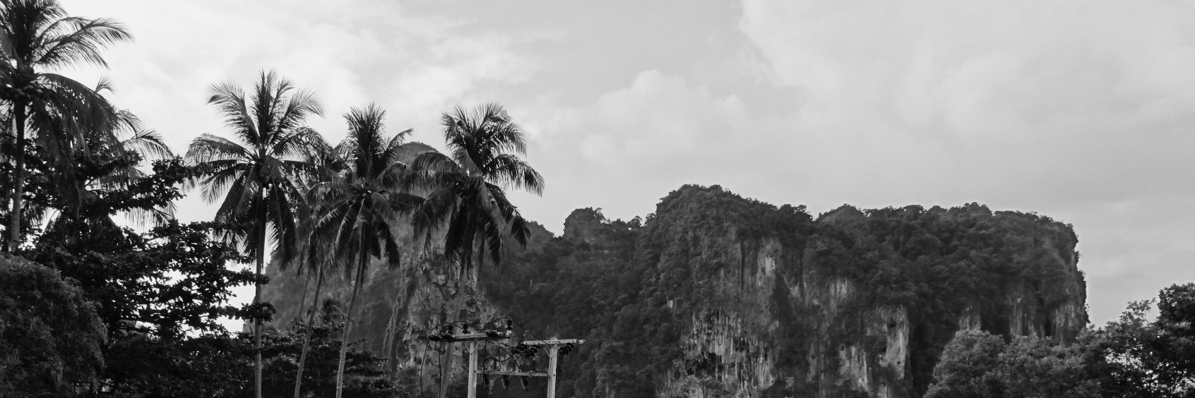MsHeidiSmith's profile banner image