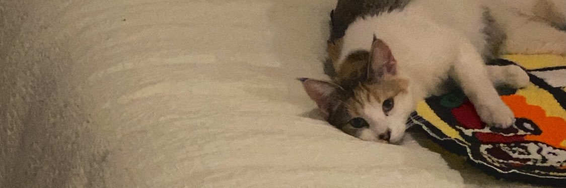 Kristina banner