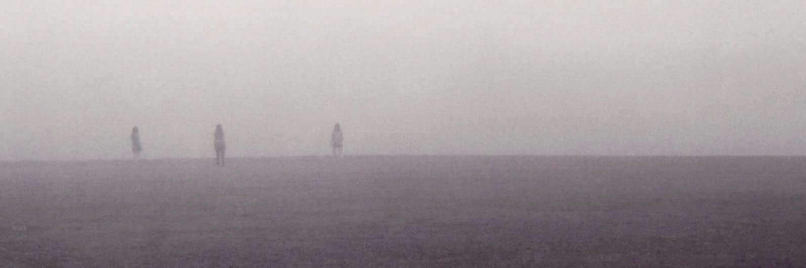 zoereb's profile banner image