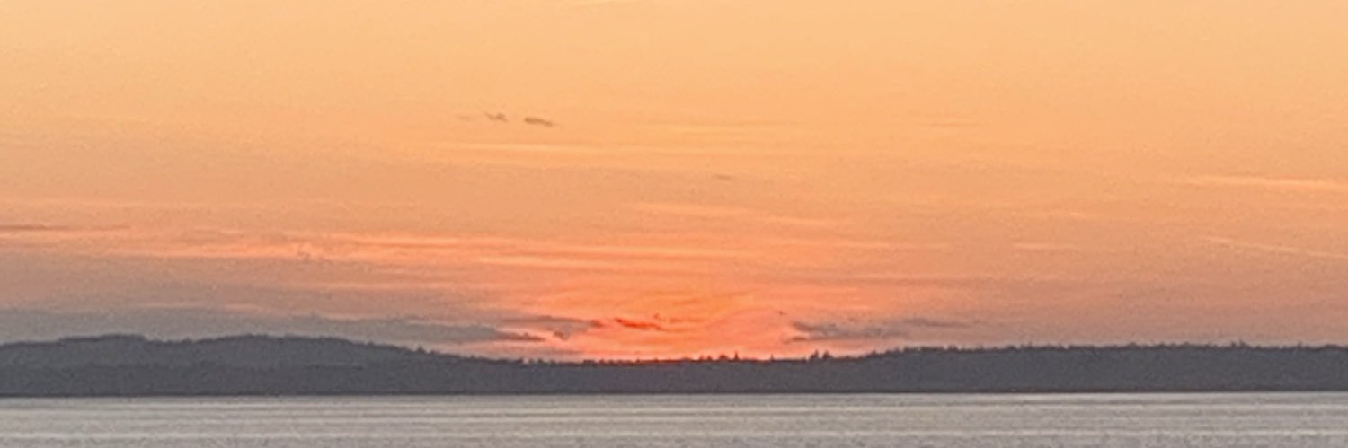 Stigawoods's profile banner image