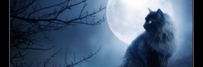macrizib's profile banner image