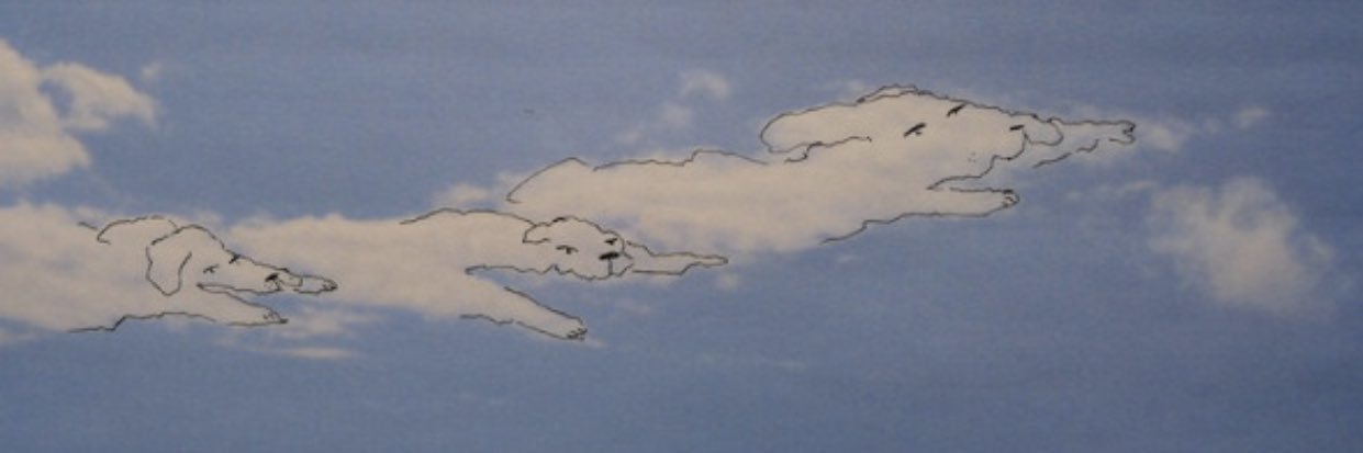 lilsange's profile banner image