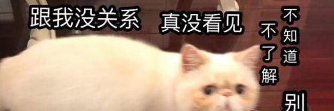 风光苟 banner
