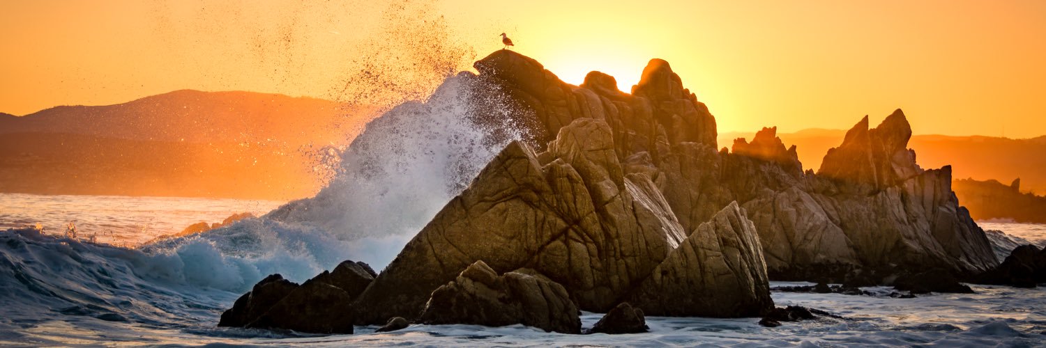 normhutton's profile banner image