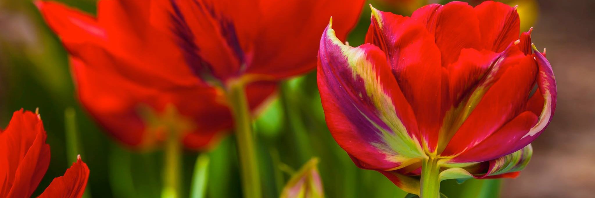 AnStofferis's profile banner image