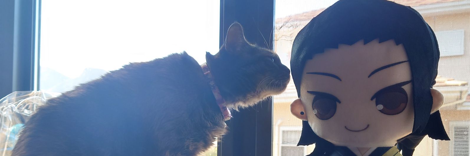 すちゃんこ banner
