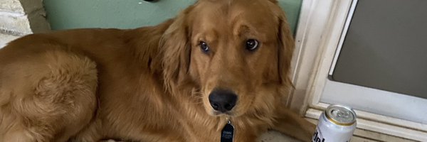 SorryItsPickle Profile Banner