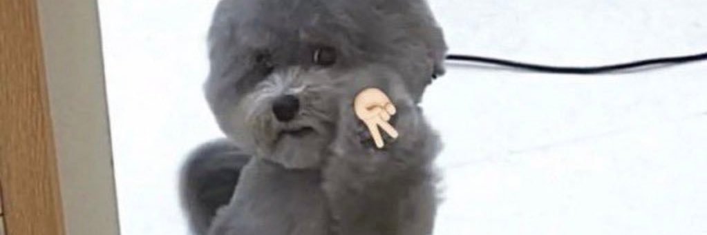 sunbubbi's profile banner image