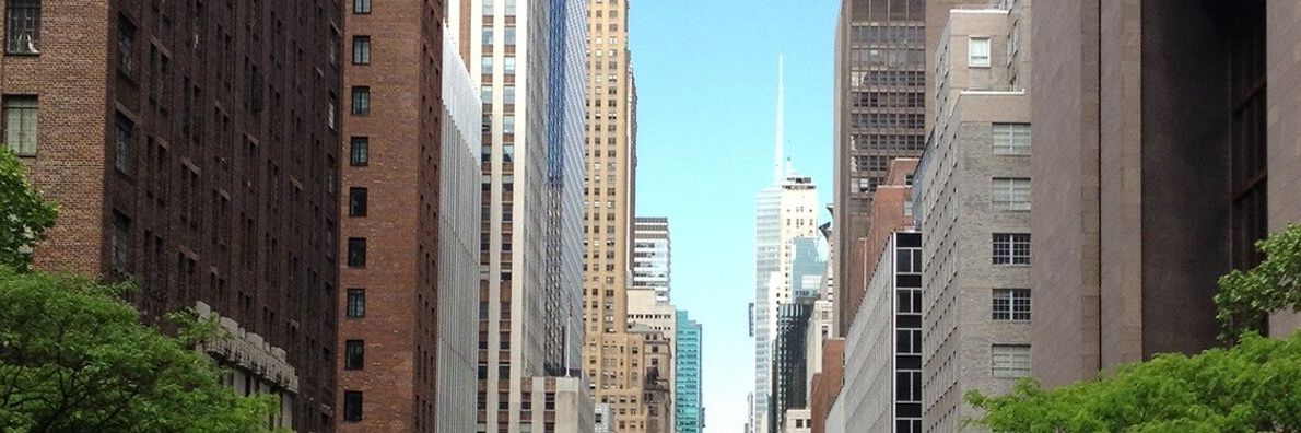 Susan_Petrizzo's profile banner image