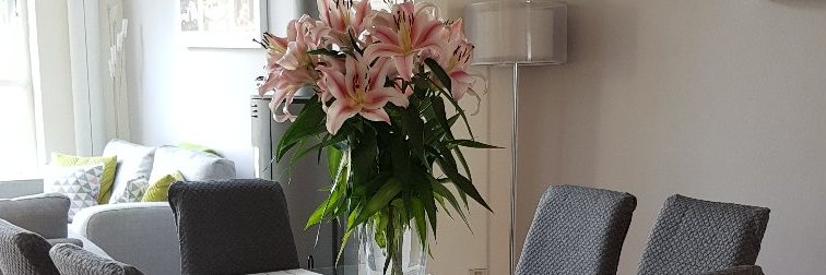 SharonJDesign's profile banner image