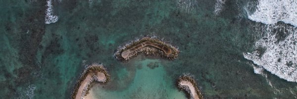 DayTraderPL Profile Banner