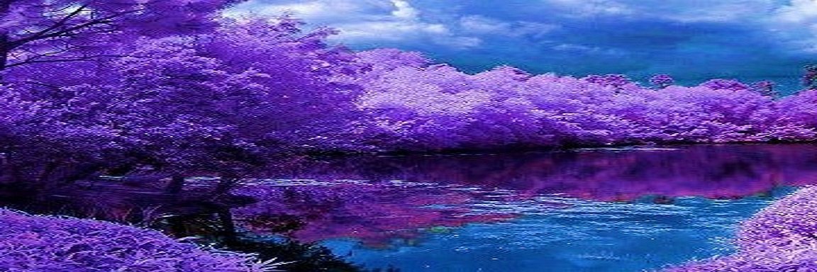 sublimity2's profile banner image